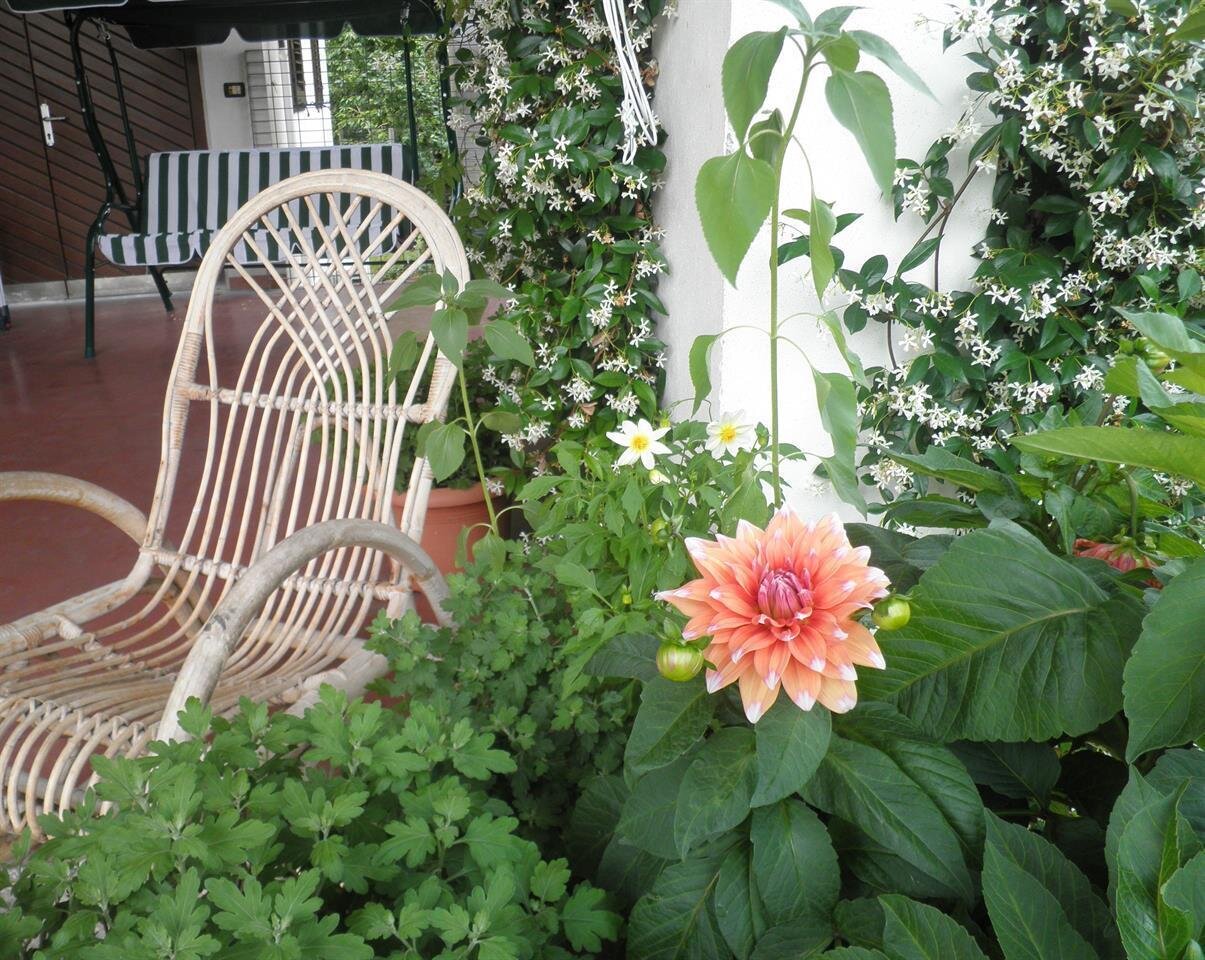 verandasediadondolo