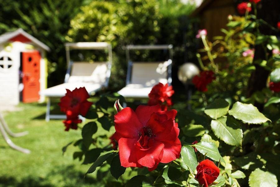 Giardino