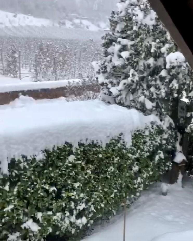 Vista inverno