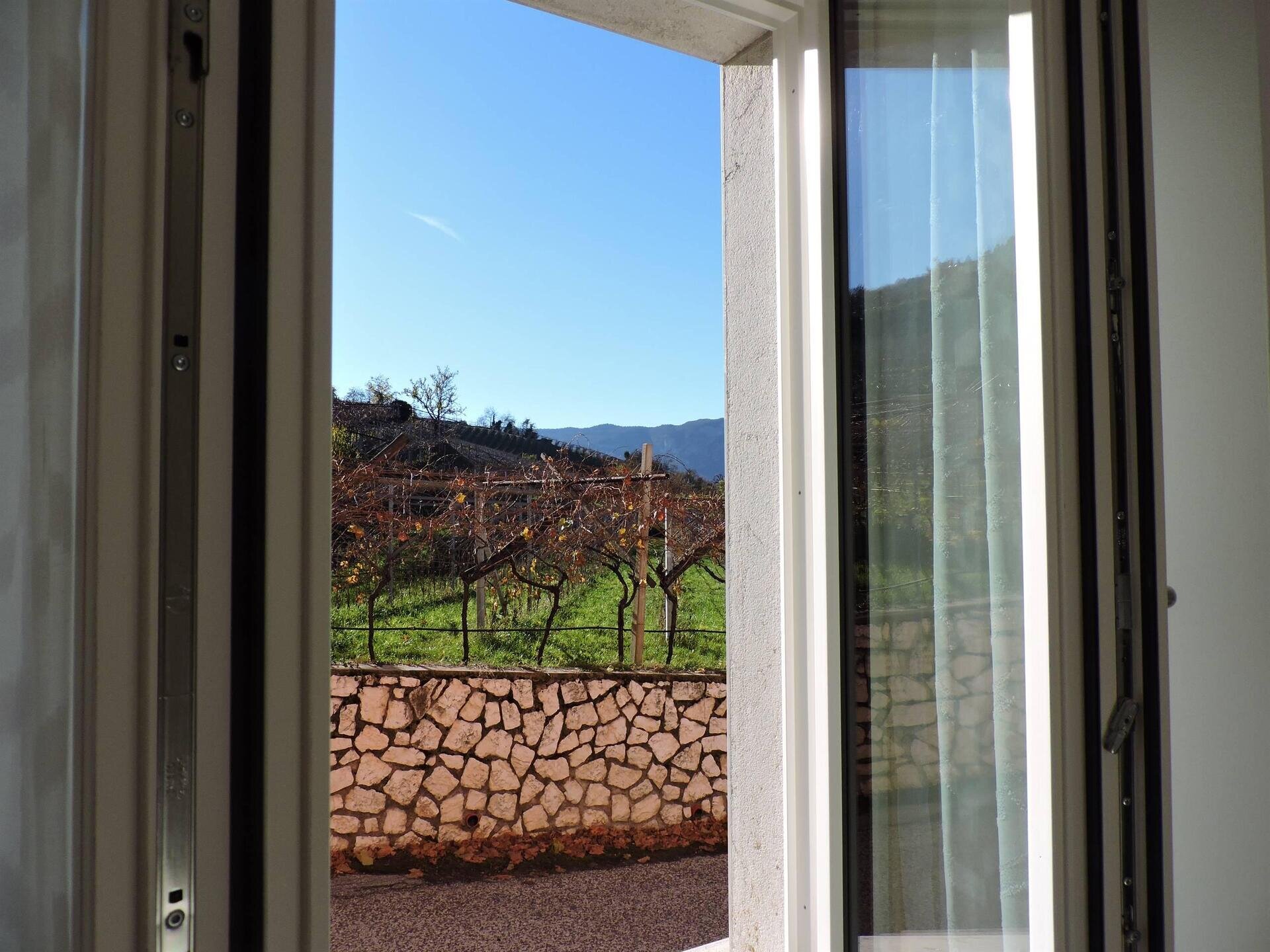 Images Trn 1 B99551f0 8cb3 4a9f 905e 1220d9c69f69 99 Image