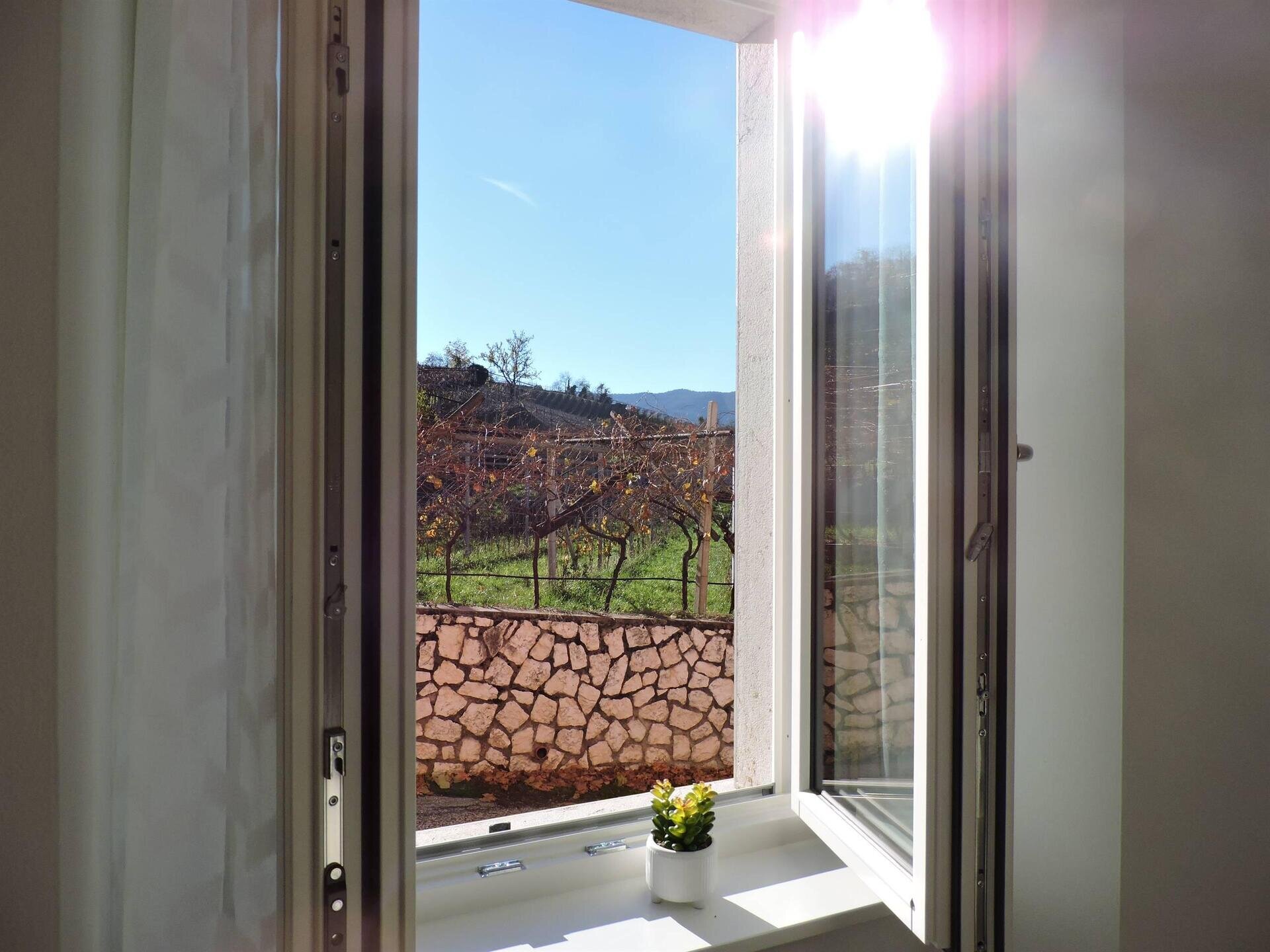 Images Trn 1 B99551f0 8cb3 4a9f 905e 1220d9c69f69 99 Image