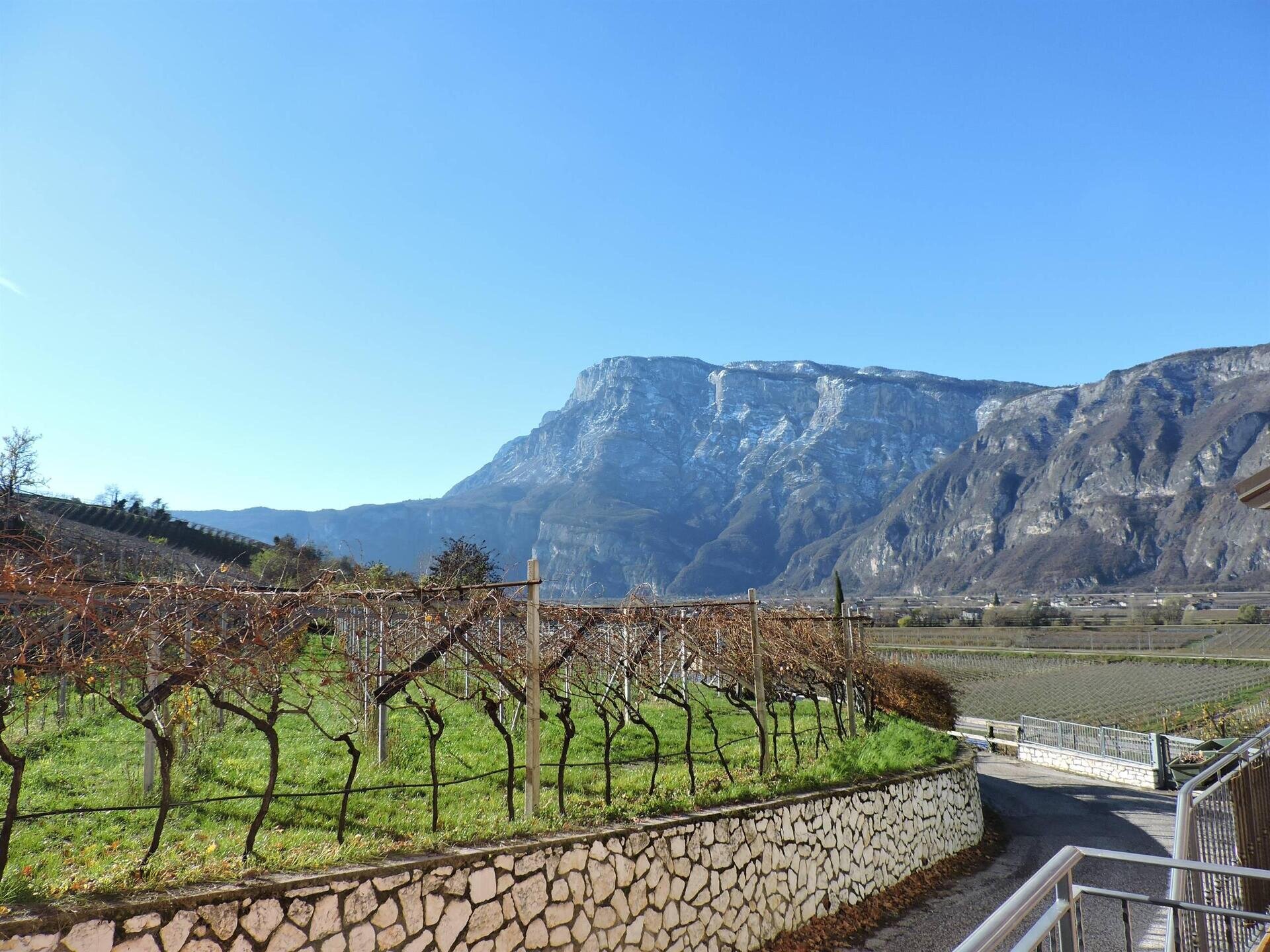 Images Trn 1 C57132d4 7eb0 4c38 854a 9b5bc5f2c42a 99 Image