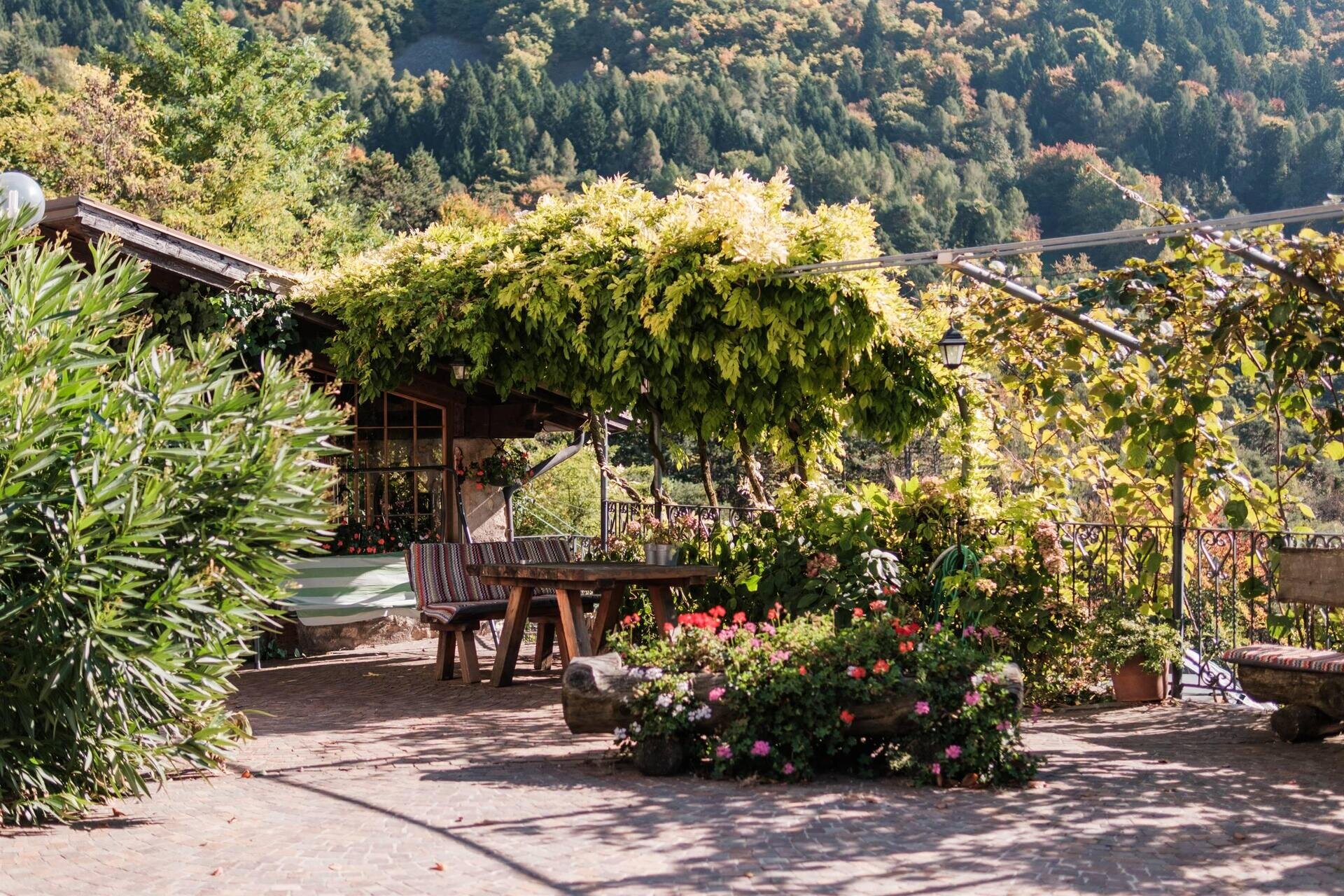 Images Trn 1 38d4565a 5e71 47d7 887f 489b80bdfd08 99 Image