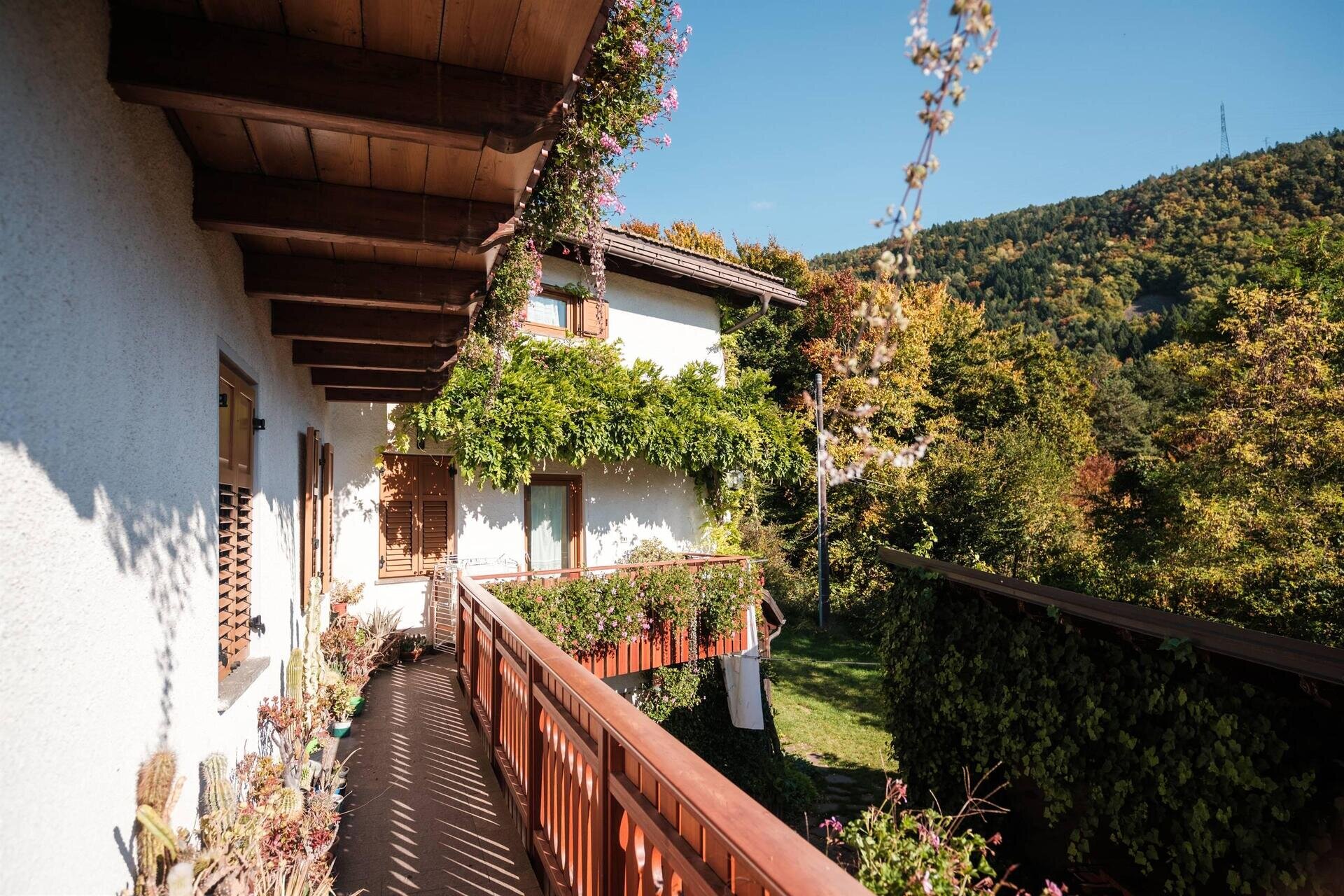 Images Trn 1 65aad975 9eef 4b99 9083 038a303d55a8 99 Image