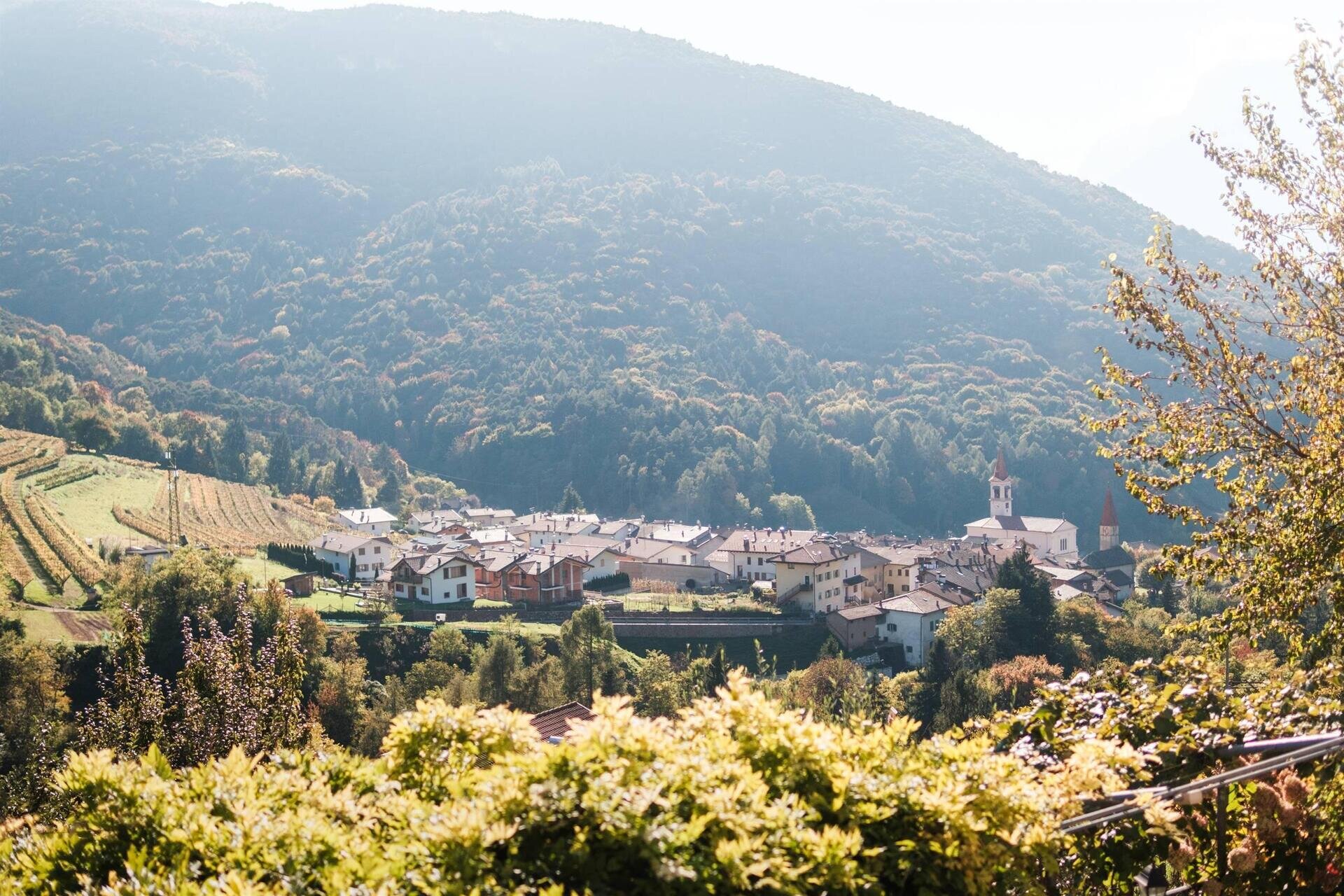 Images Trn 1 896f7d7c D206 4740 A7c4 B8876bb5b2dd 99 Image