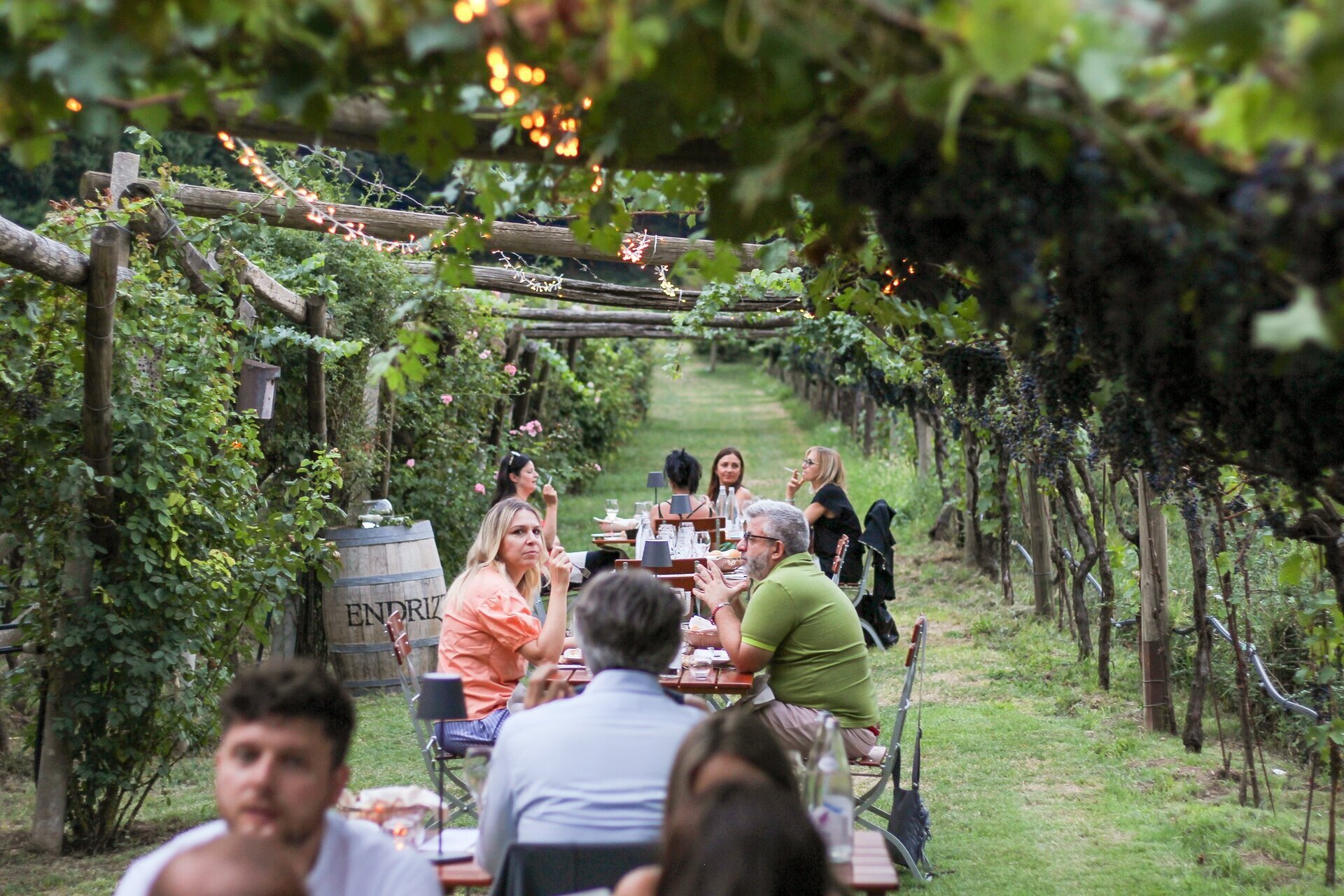 Aperitivi E Cene In Cantina Endrizzi