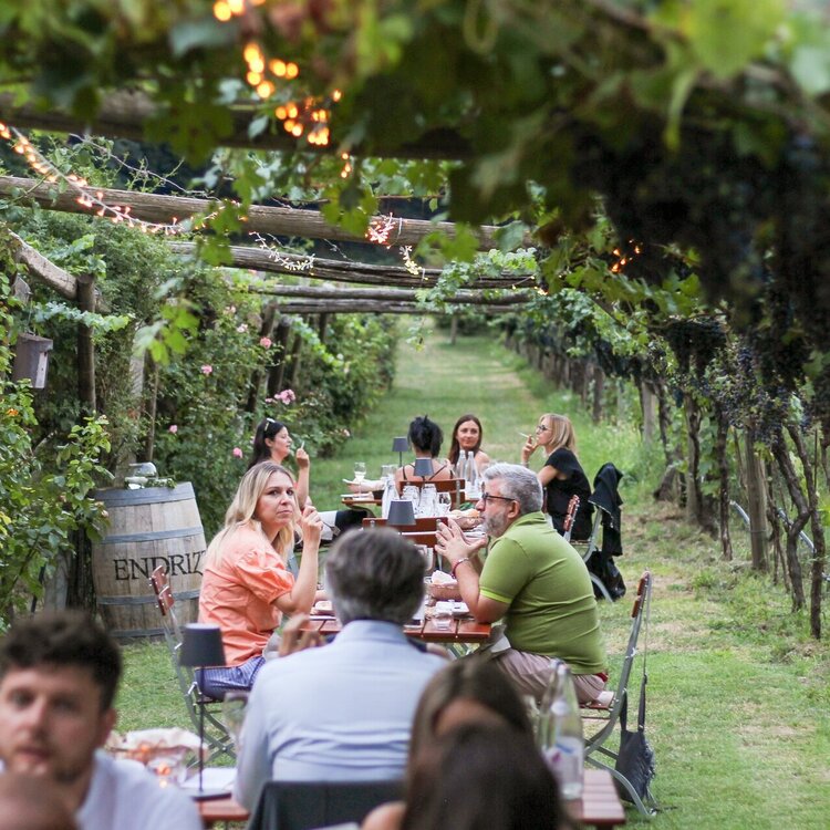 Open Pergola - Cantina Endrizzi