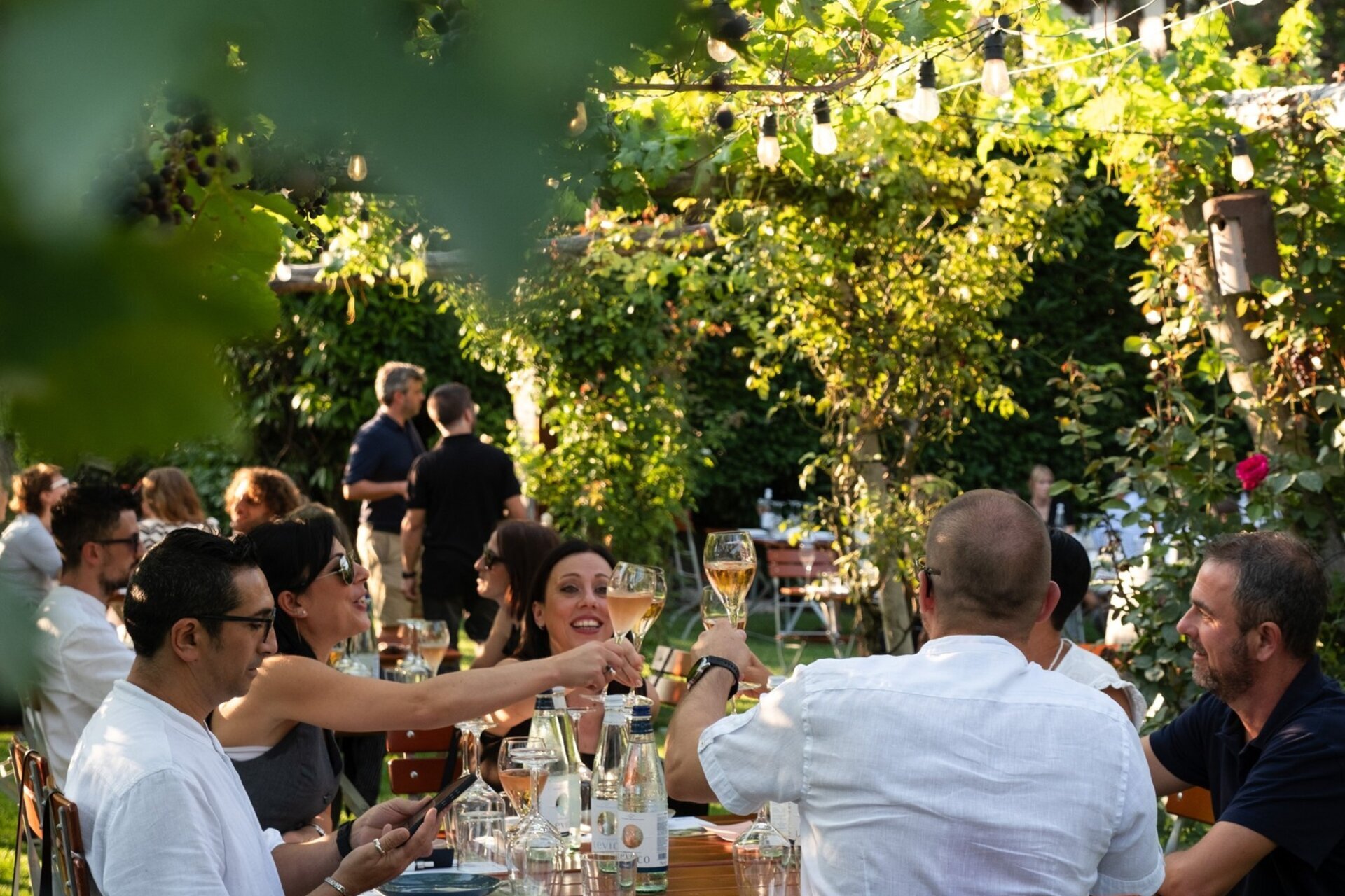 Events Rotaliana Konigsberg 2 Eventi In Cantina 25965 Image Thumb 25965 Thumb1920 Open Pergola Endrizzi 2025 4 4ddaef80