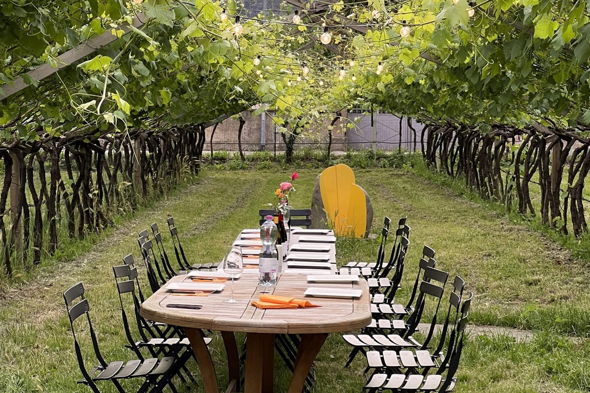 Events Rotaliana Konigsberg 2 Aperitivi In Vigna Cantine 17423 Image Thumb 17423 Thumb1920 Devigili Apertivi A7a51852