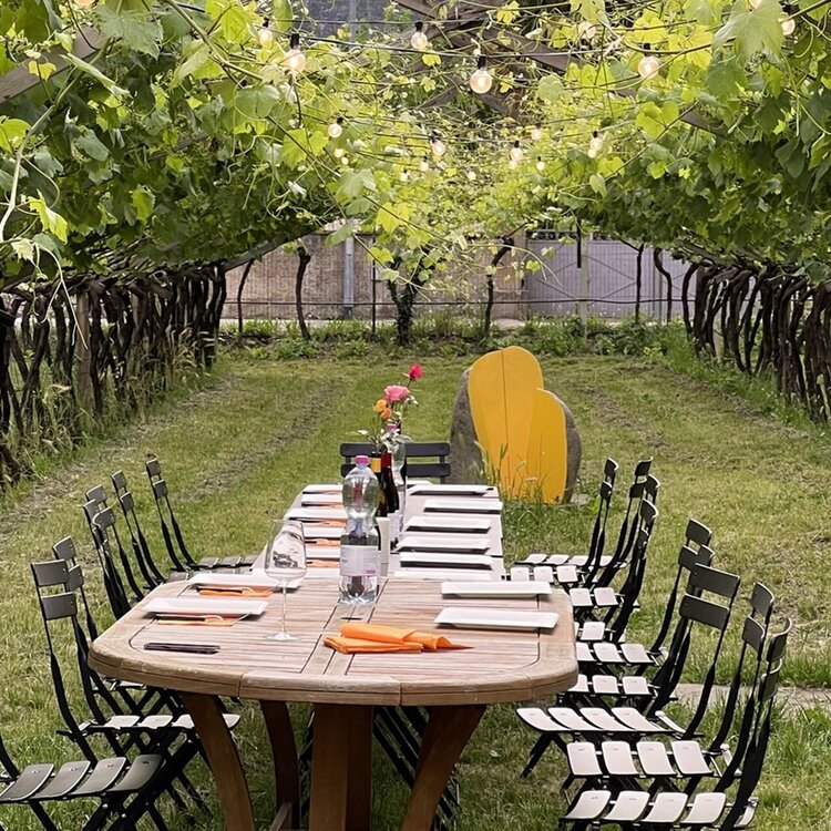 Aperitivi in vigna - Cantina De Vigili