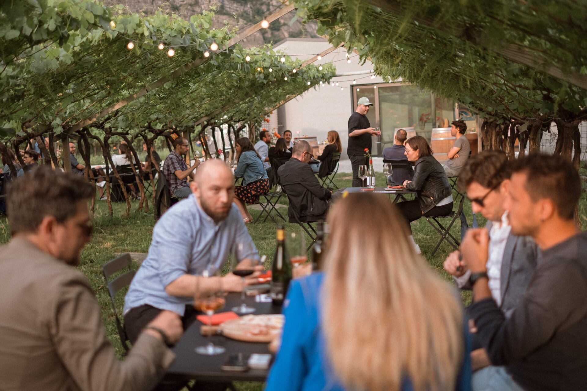 Aperitivi in vigna - Cantina De Vigili