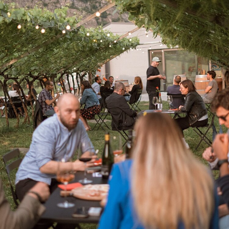 Aperitivi in vigna - Cantina De Vigili
