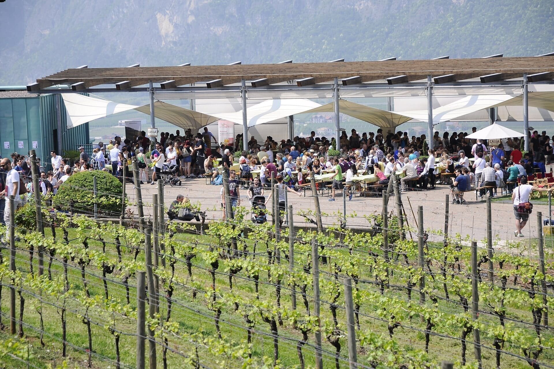 Von Hof zu Hof, von Wein zu Wein