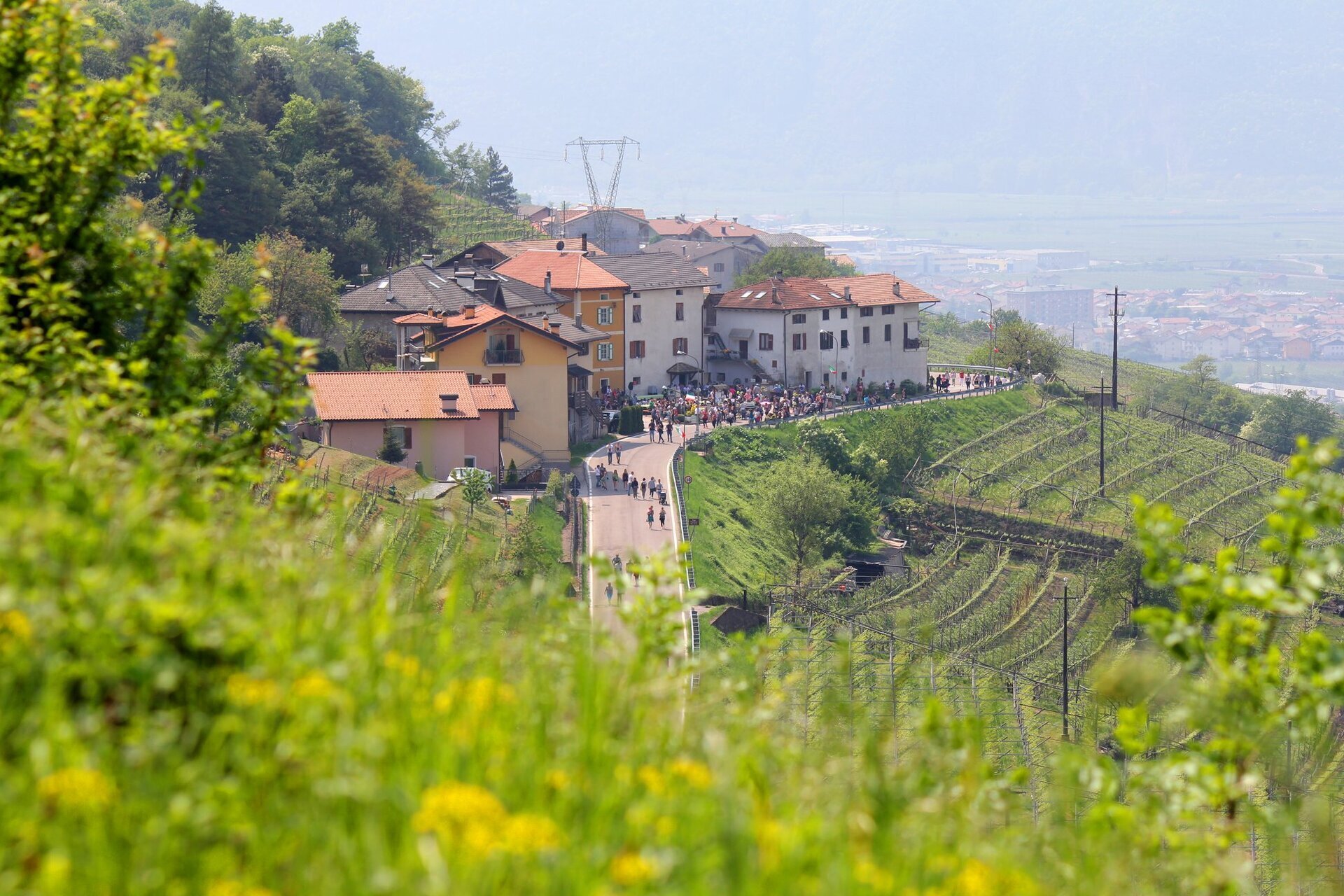 Events Rotaliana Konigsberg Di Maso In Maso 22386 Image Thumb 22386 Thumb1920 Di Maso In Maso 2a16ce06