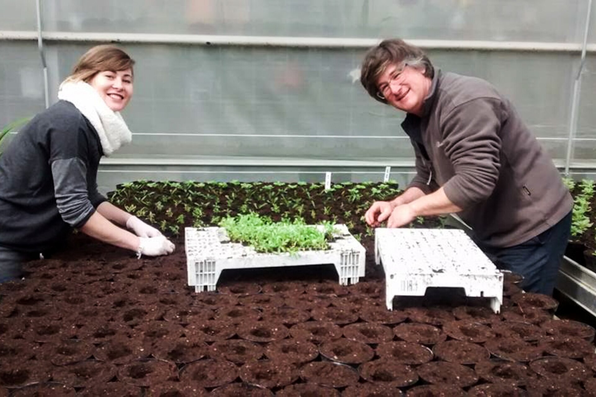 Laboratori in Floricoltura Piazzera