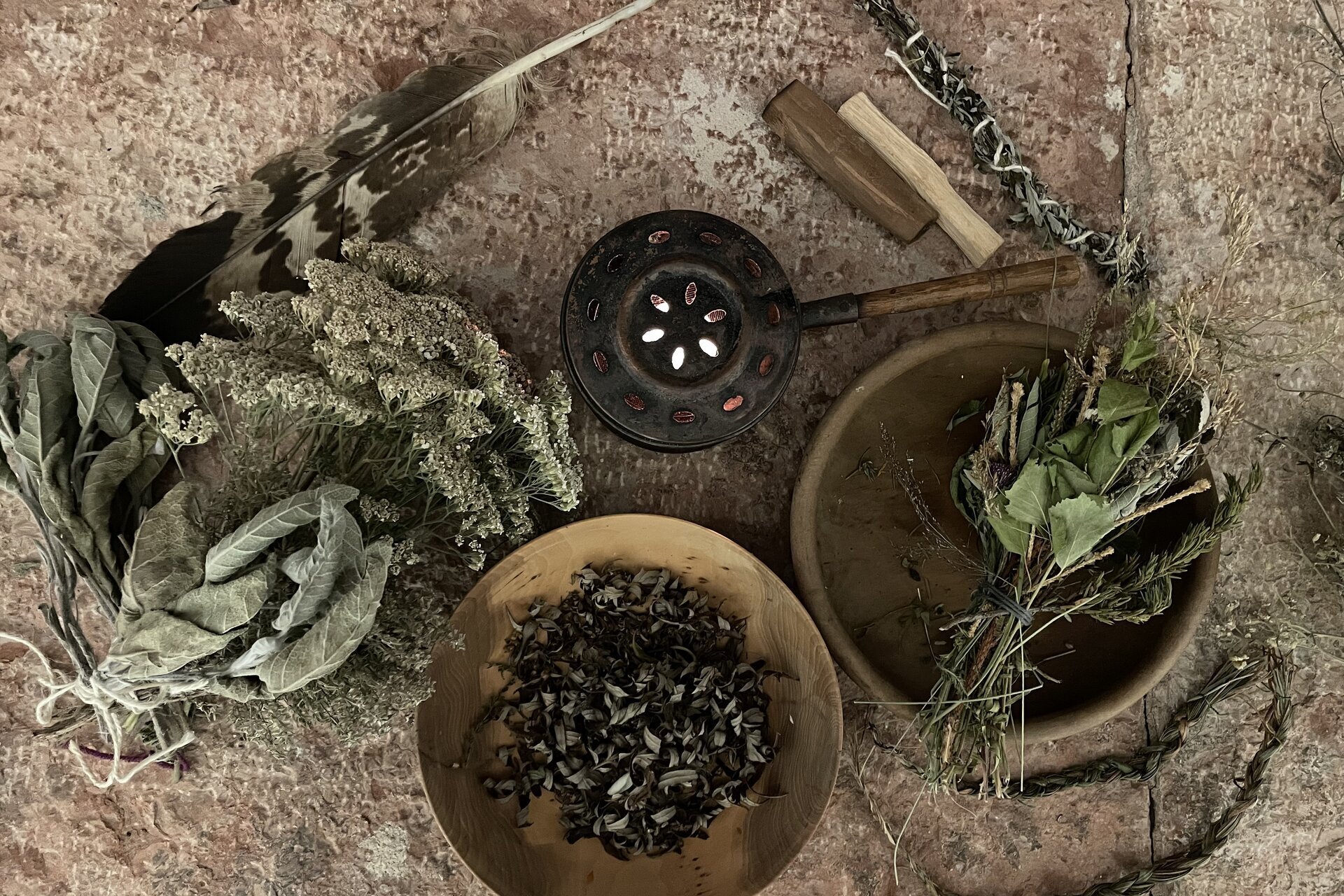 Mostre e laboratori al METS