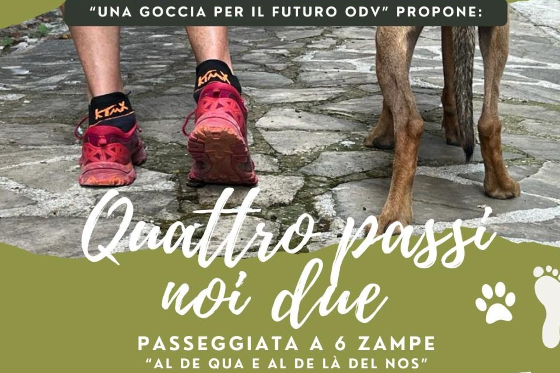 Quattro Passi Noi Due
