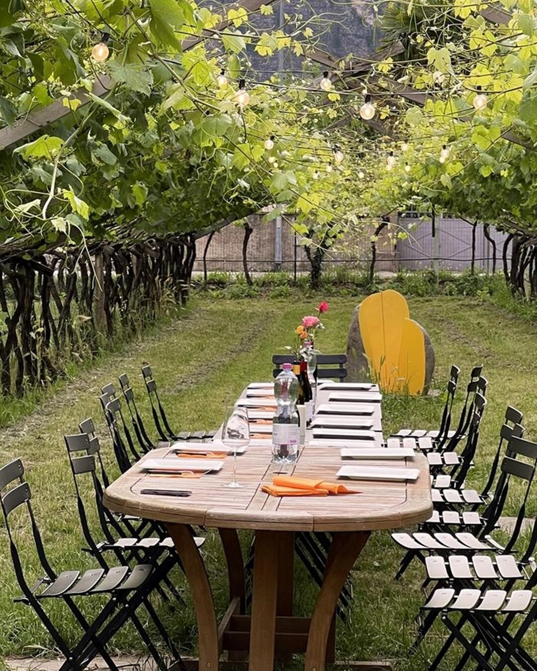 Abendessen im Weinberg - Kellerei De Vigili