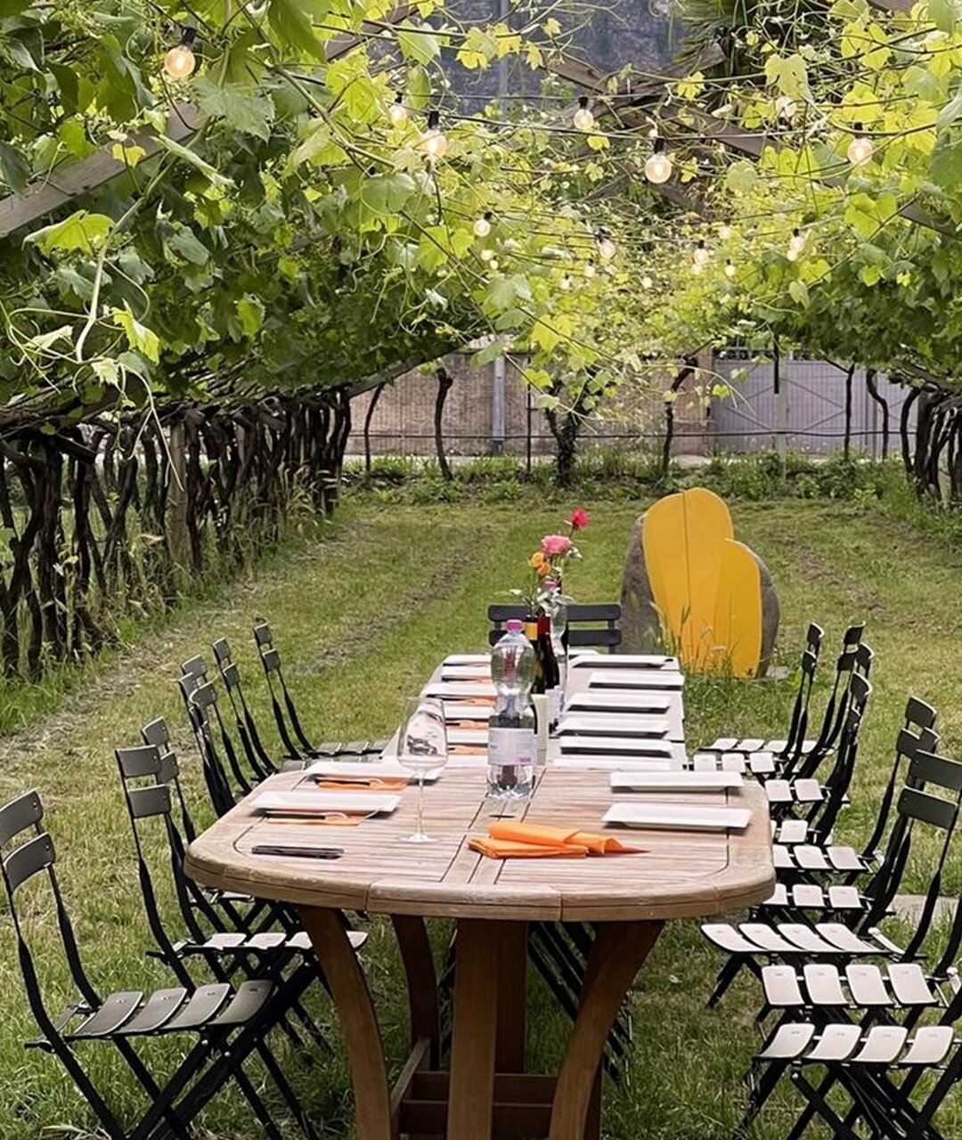 Abendessen im Weinberg - Kellerei De Vigili