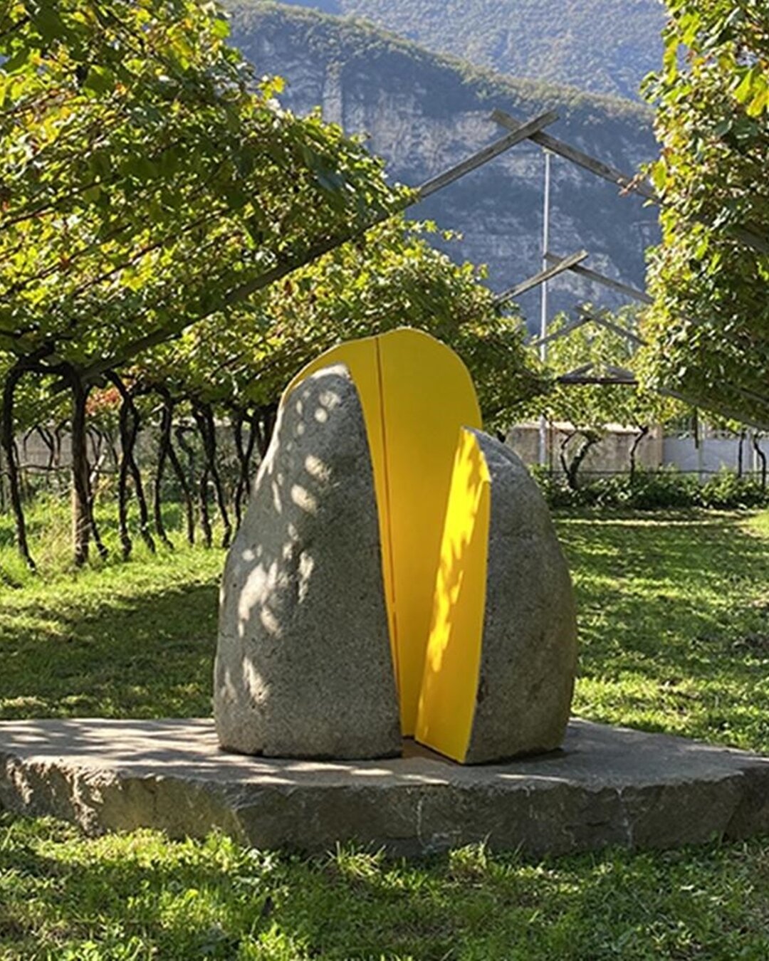 Content Dam Org 5 Images Full Rights Piana Rotaliana Esperienze Cena In Vigna De Vigili Arte In Vigna Devigili Rotaliana