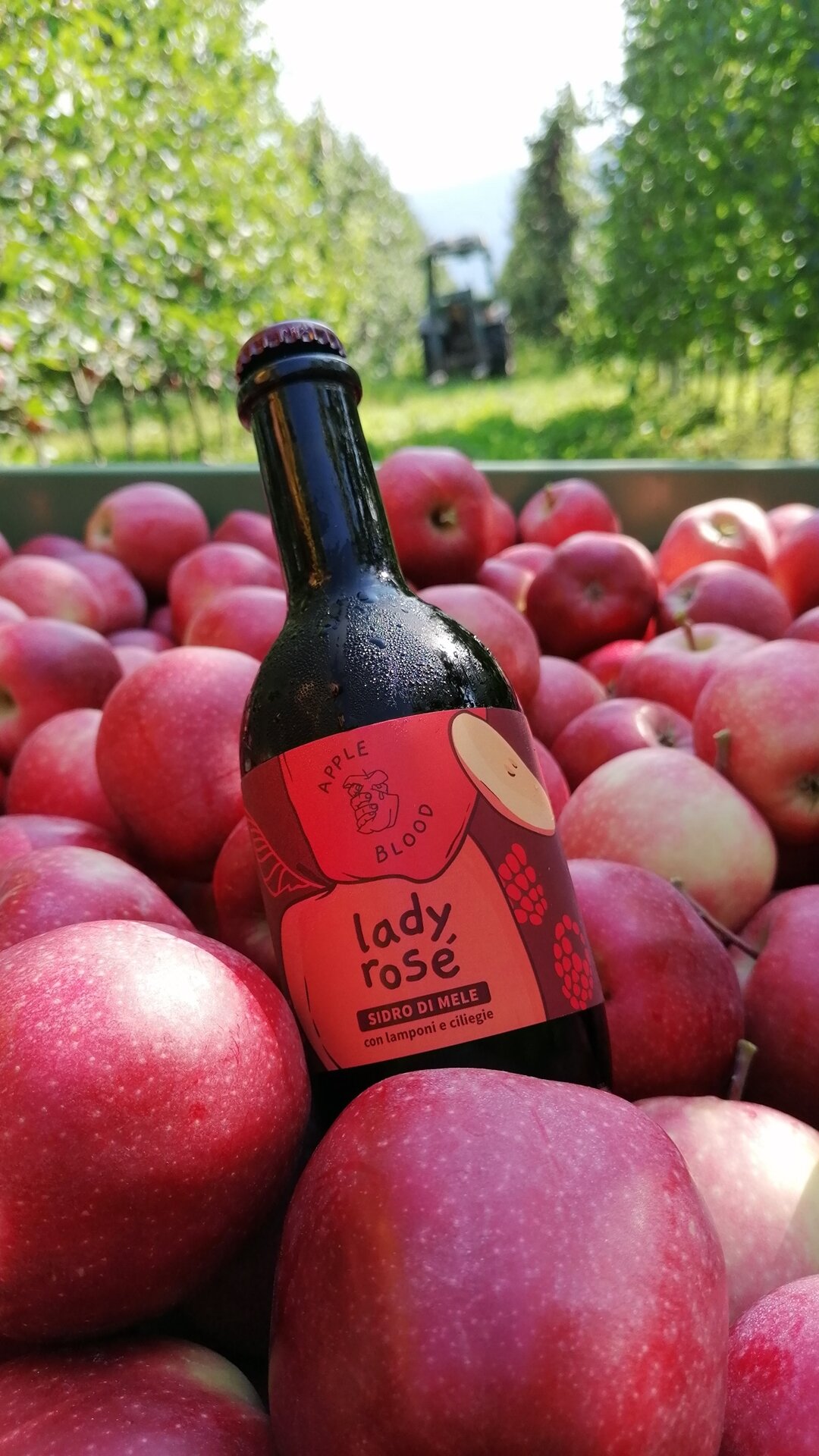 Dal Melo al Calice - Apple Blood Cider