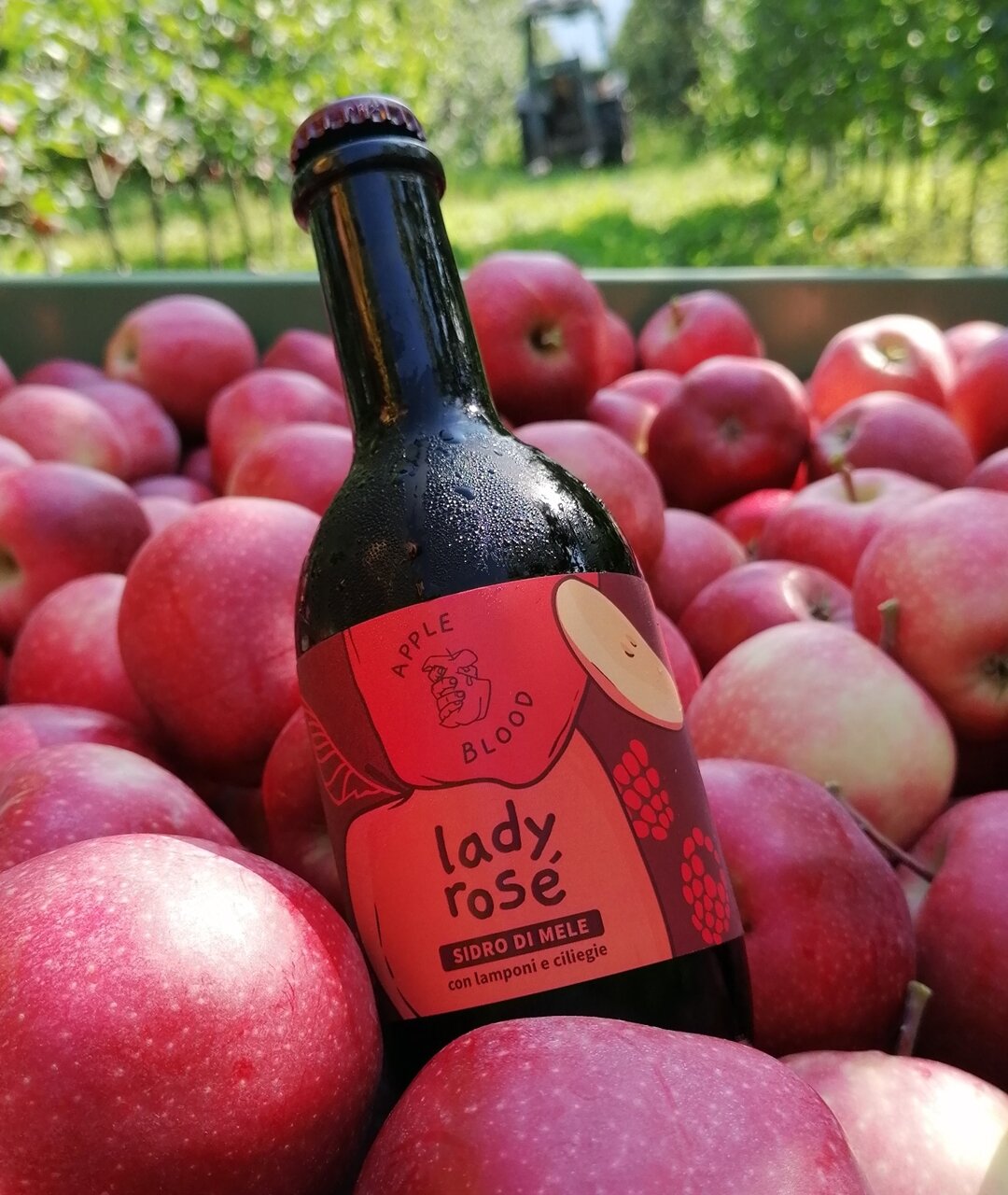 From the apple tree to the glass - Apple Blood Cider