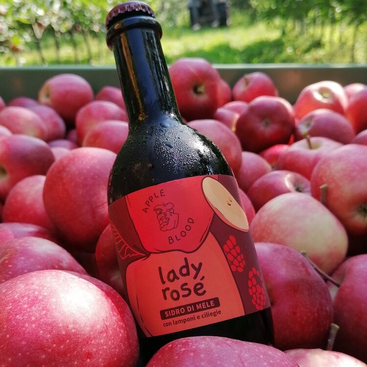 From the apple tree to the glass - Apple Blood Cider