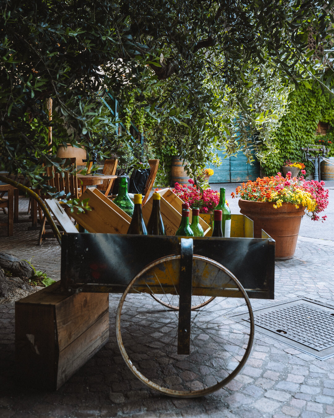 Content Dam Org 5 Images Full Rights Piana Rotaliana Esperienze Foradori Top Experience Foradori Ph Nicola Cagol 12 Content Dam Org 5 Images Full Rights Piana Rotaliana Esperienze Foradori Top Experience Foradori Ph Nicola Cagol 12