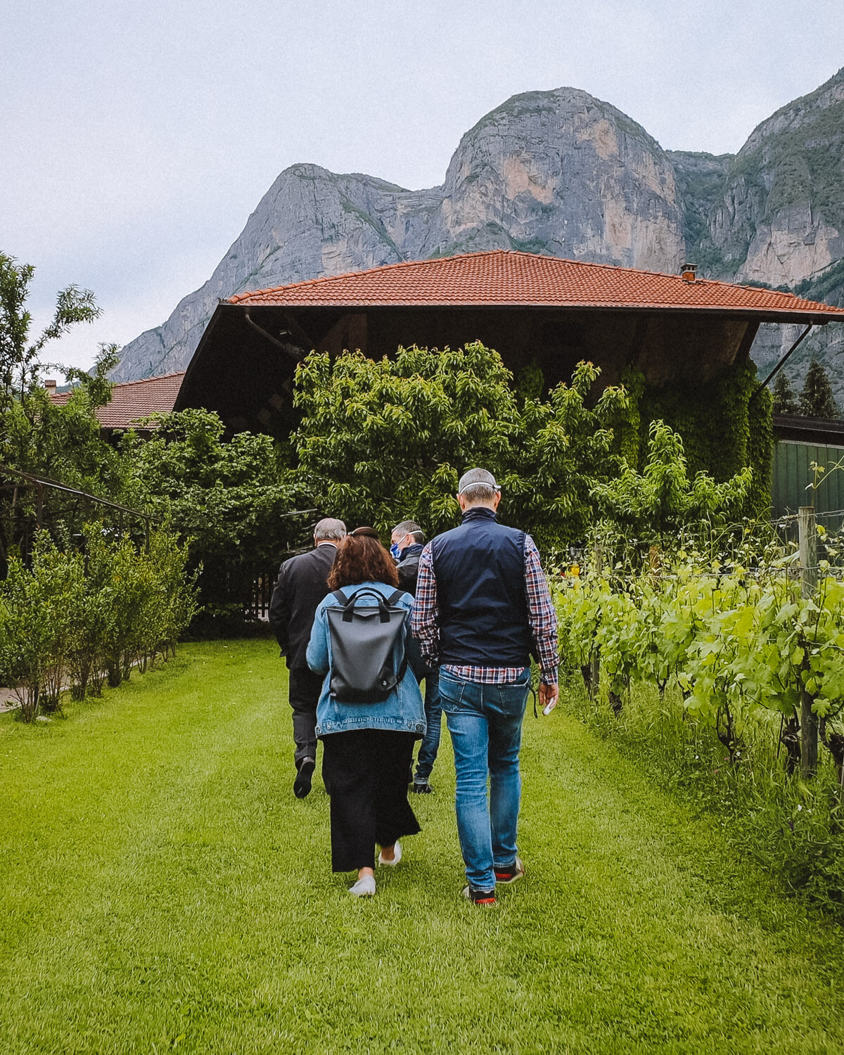 Content Dam Org 5 Images Full Rights Piana Rotaliana Esperienze Foradori Top Experience Foradori Ph Nicola Cagol 14 Content Dam Org 5 Images Full Rights Piana Rotaliana Esperienze Foradori Top Experience Foradori Ph Nicola Cagol 14