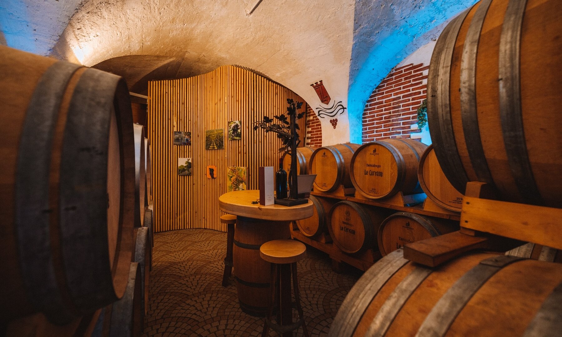 The 5 Elements of Wine - Zanini Luigi Winery