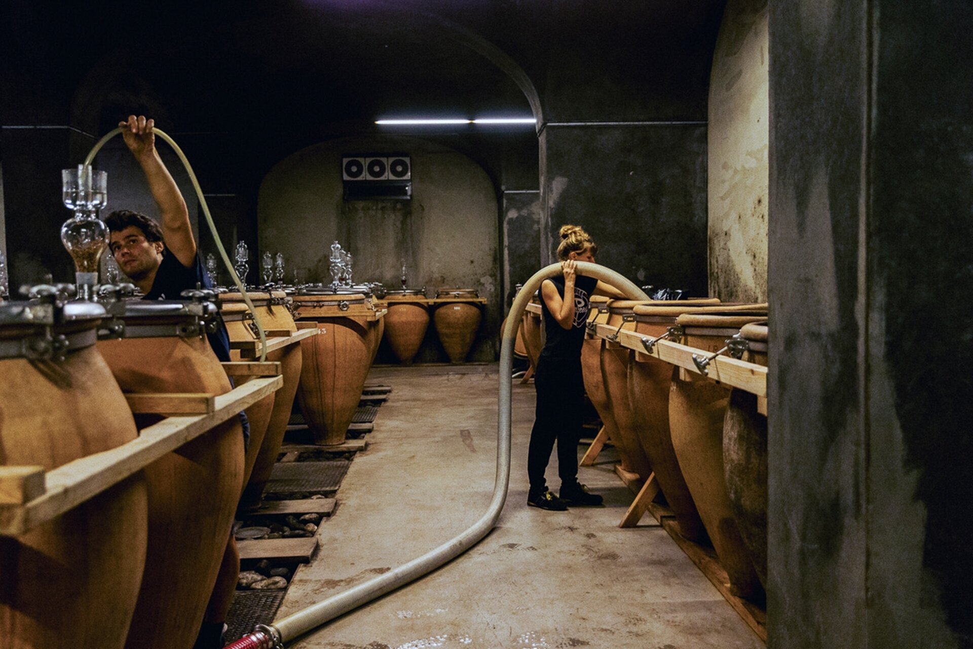 Beyond the Border - Foradori Winery