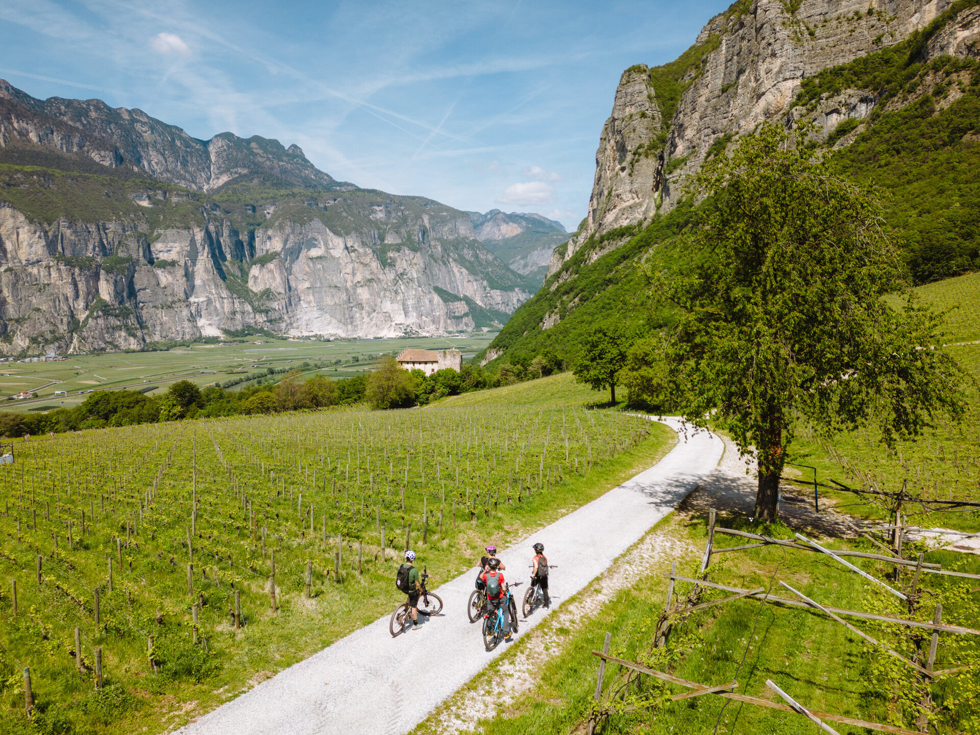 Content Dam Org 5 Images Full Rights Piana Rotaliana Outdoor Giro Del Vino 50 2023 Giro Del Vino 50 Ph Nicola Cagol 6