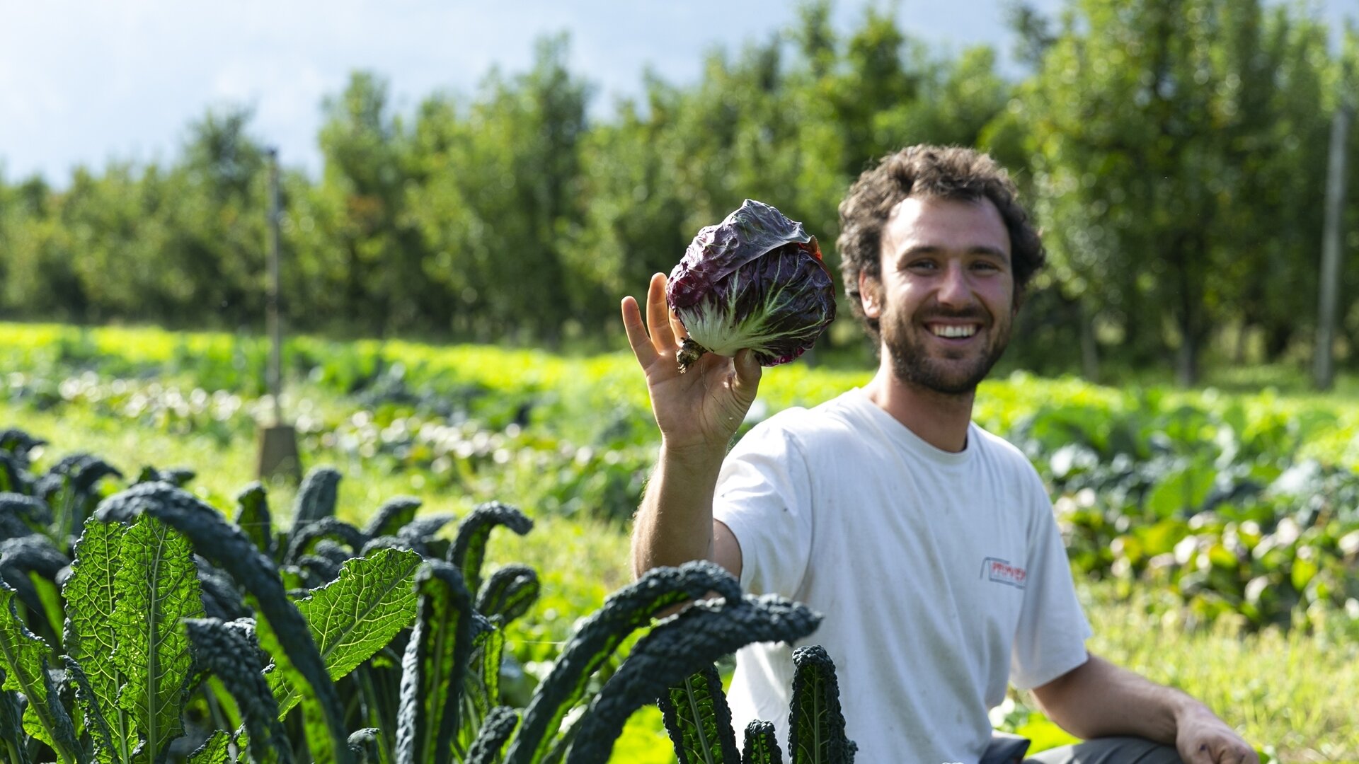 A journey through apples, orchards and flavours – Maso del Gusto