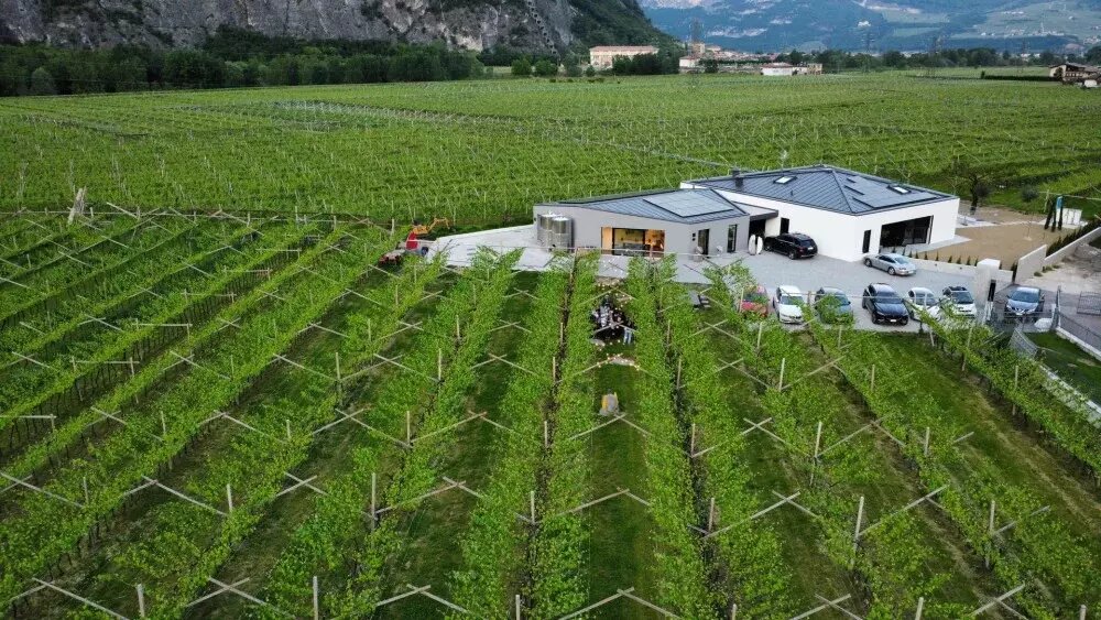 Visite e degustazioni - Az. Agr. De Vigili