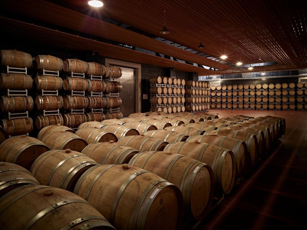 Visits and tastings at LaVis Winery