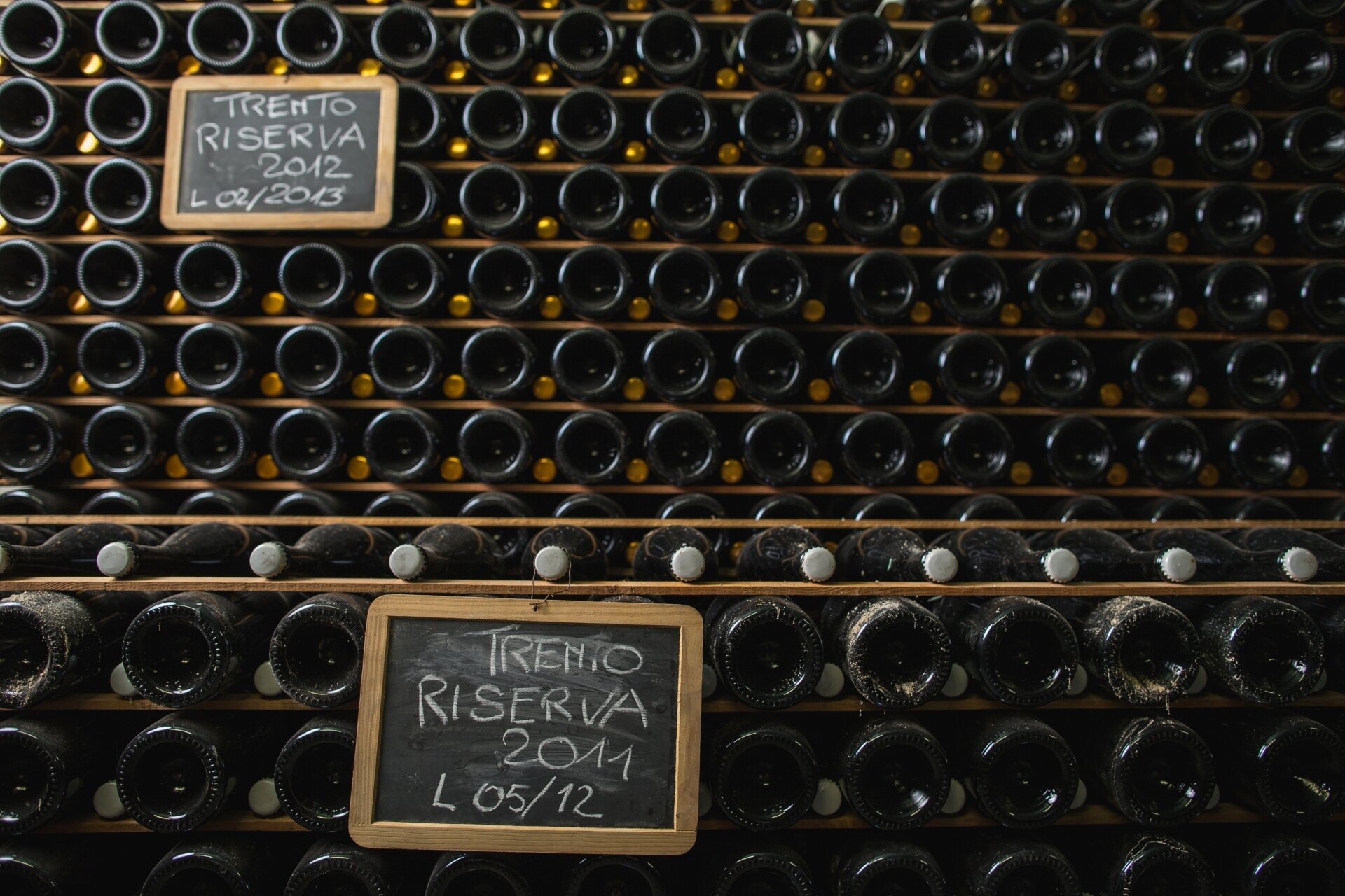 Visits and tastings at Cantina Monfort