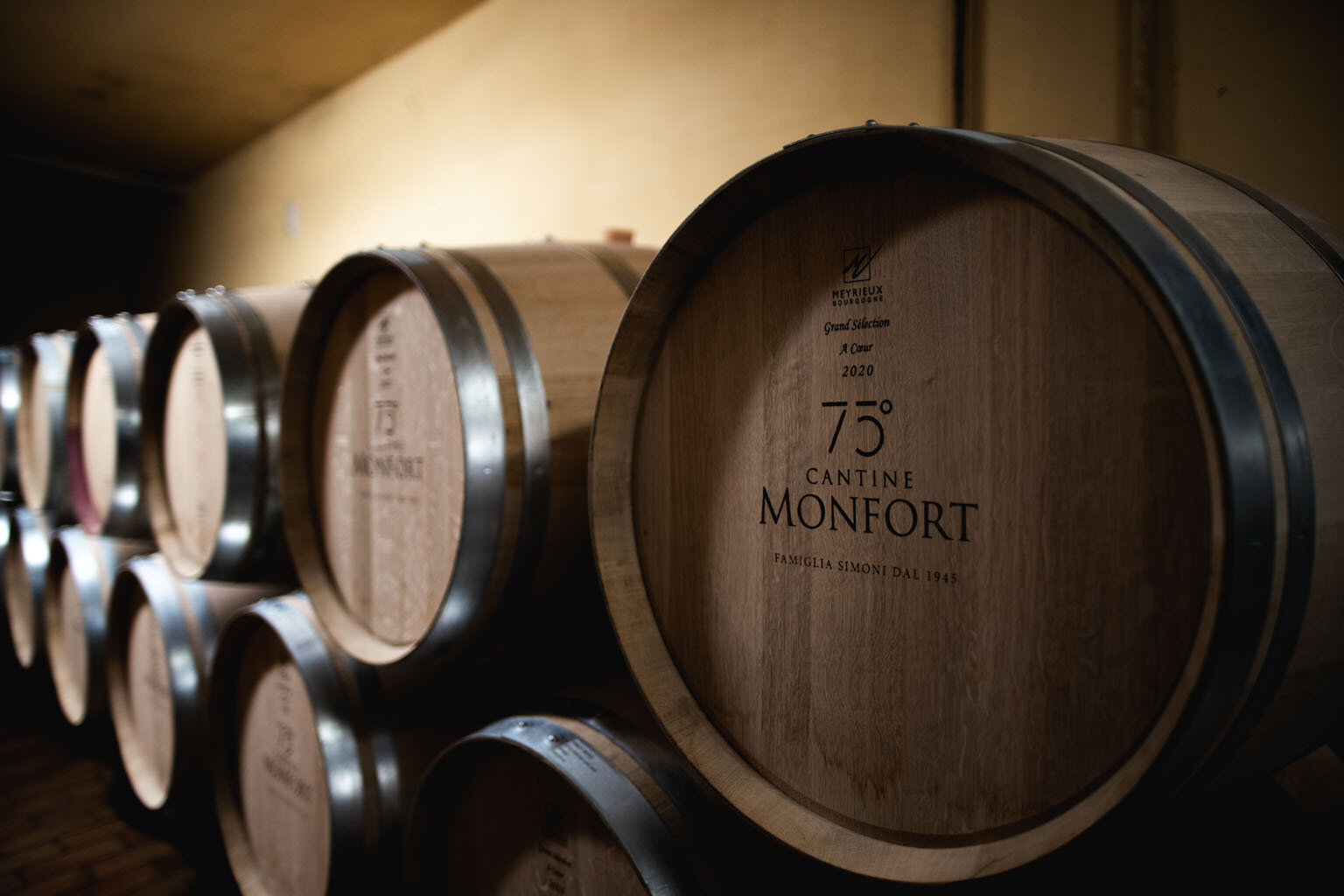 Content Dam Org 5 Images Full Rights Piana Rotaliana Esperienze Degustazioni Monfort Visite Monfort