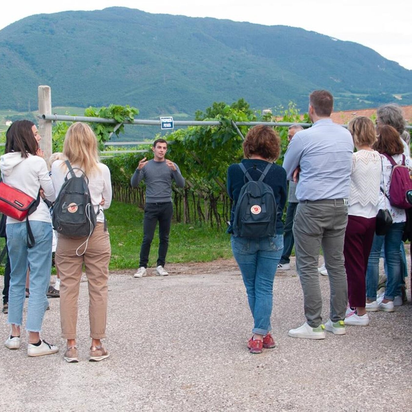 Content Dam Org 5 Images Full Rights Piana Rotaliana Esperienze Endrizzi Elio Top Experience Endrizzi Elio Rotaliana Vigneto