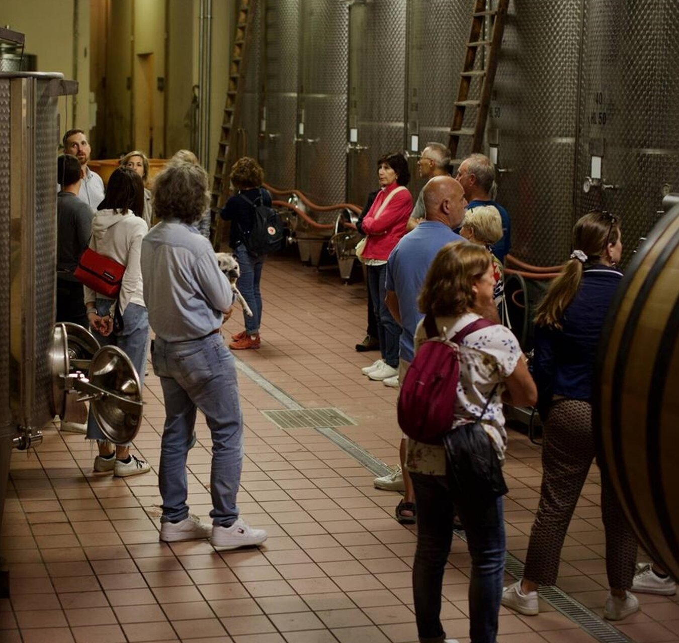 Visits and tasting - Elio Endrizzi Winery