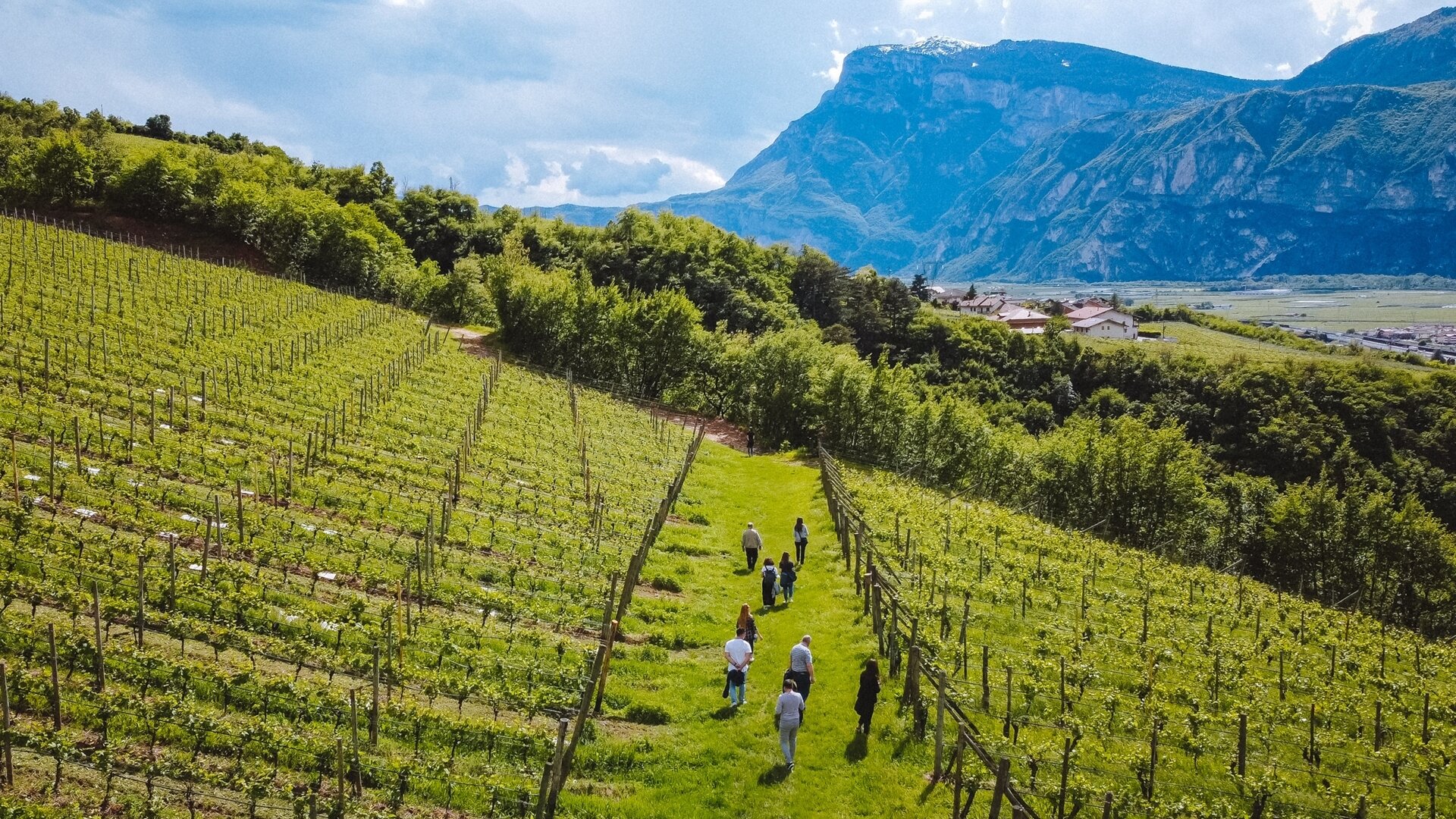 Wine Trekking - Endrizzi Winery