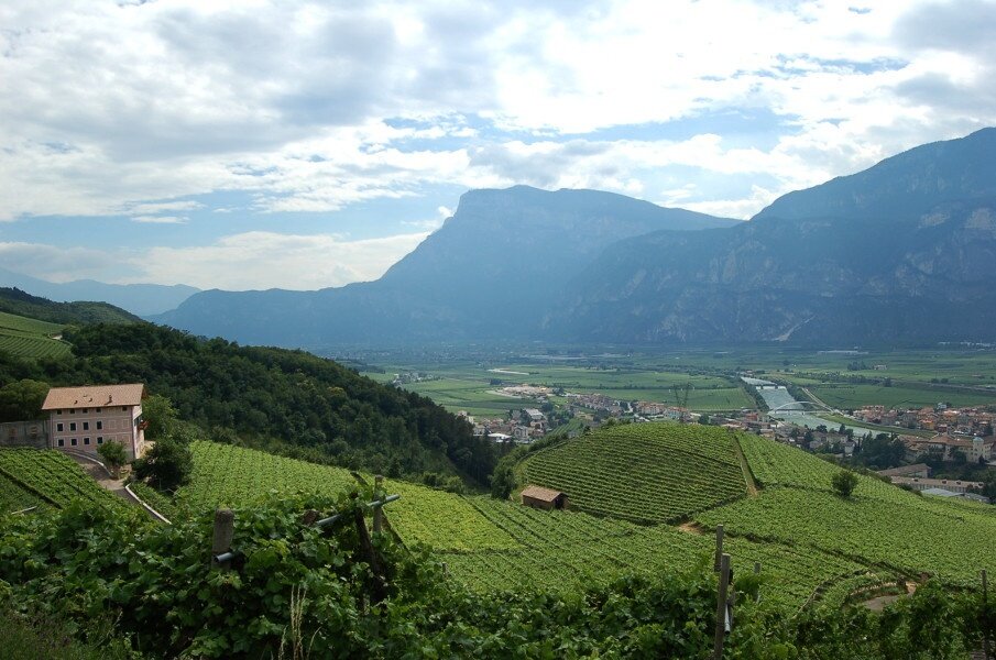Img 14283824