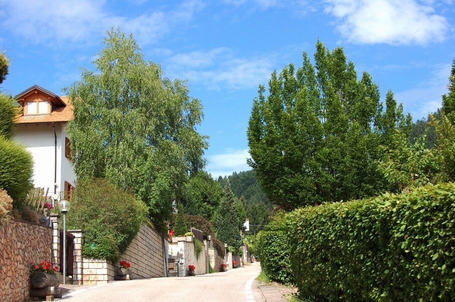 Img 14284838