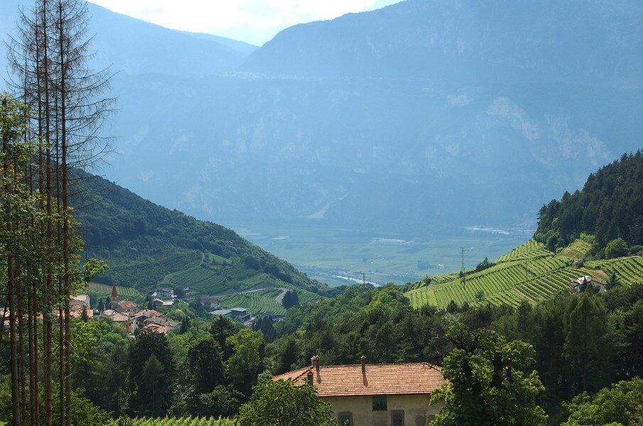 Img 14284839