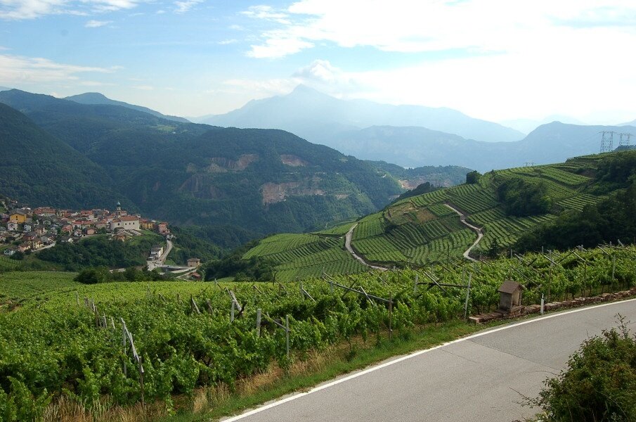 Img 14284844