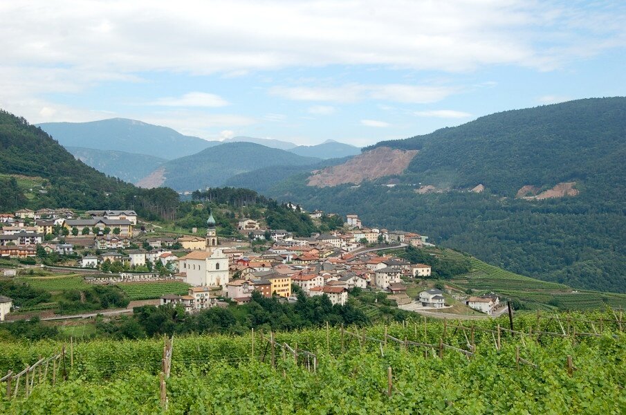 Img 14285064