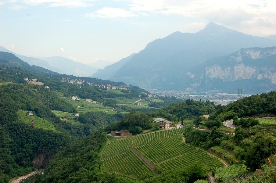 Img 14285066