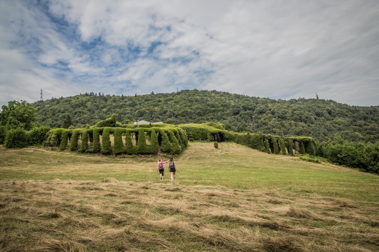 Faedo - Zise - Roccolo del Sauch (SAT 409)