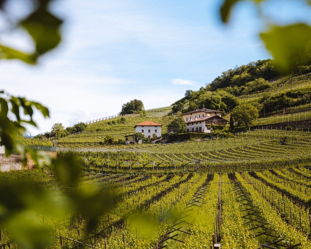 Giro dei Masi Franch e Clinga