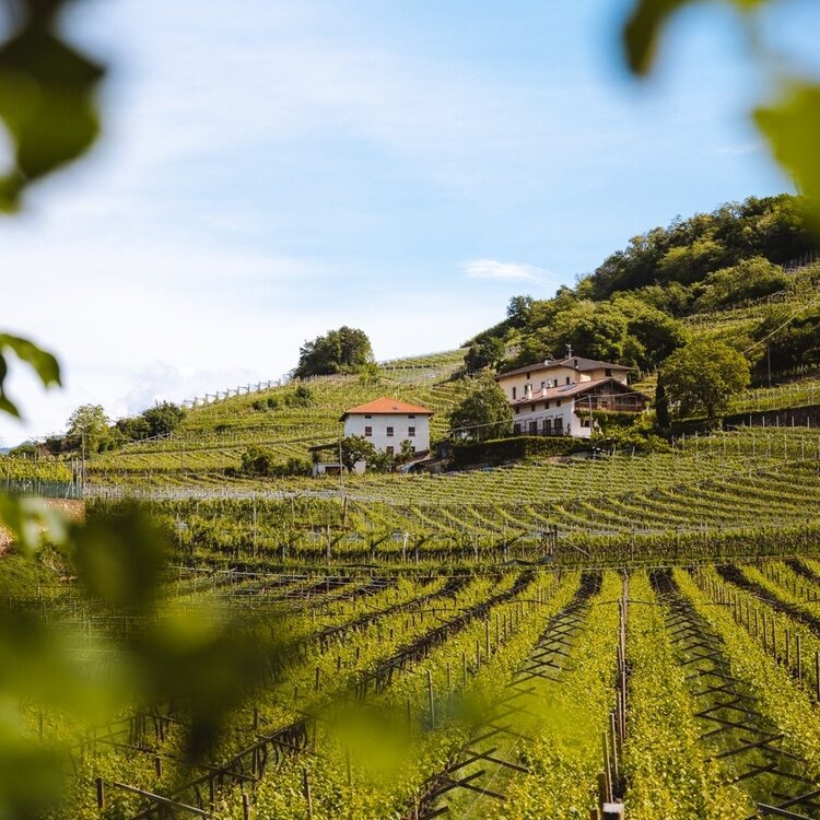 Rundweg der Masi Franch und Clinga