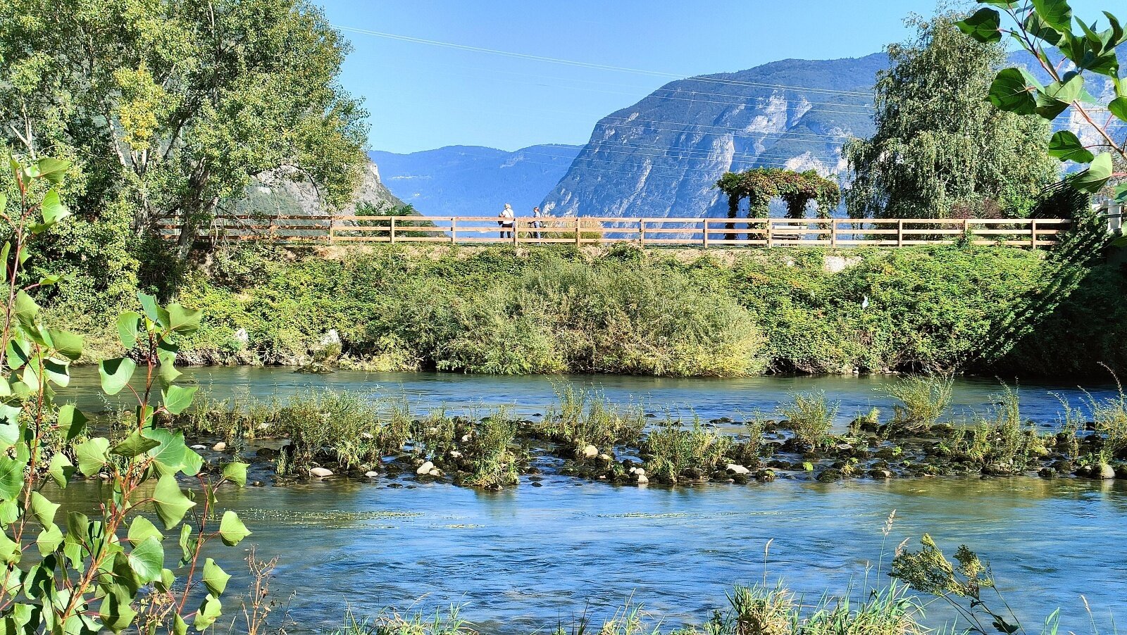 Bridge Tour